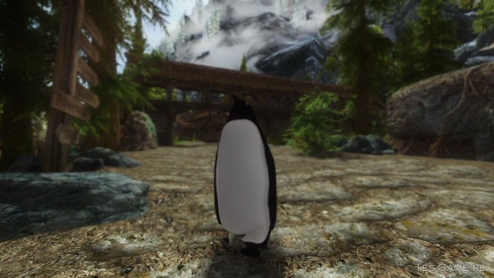 С Торента Русификатор Для Skyrim С Торента Русификатор Для Skyrim