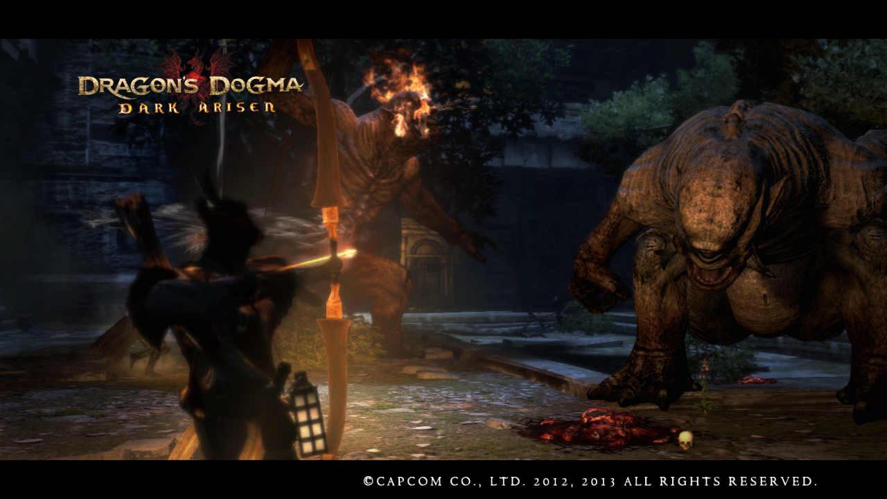 Dragon s dogma dark arisen подарки 25