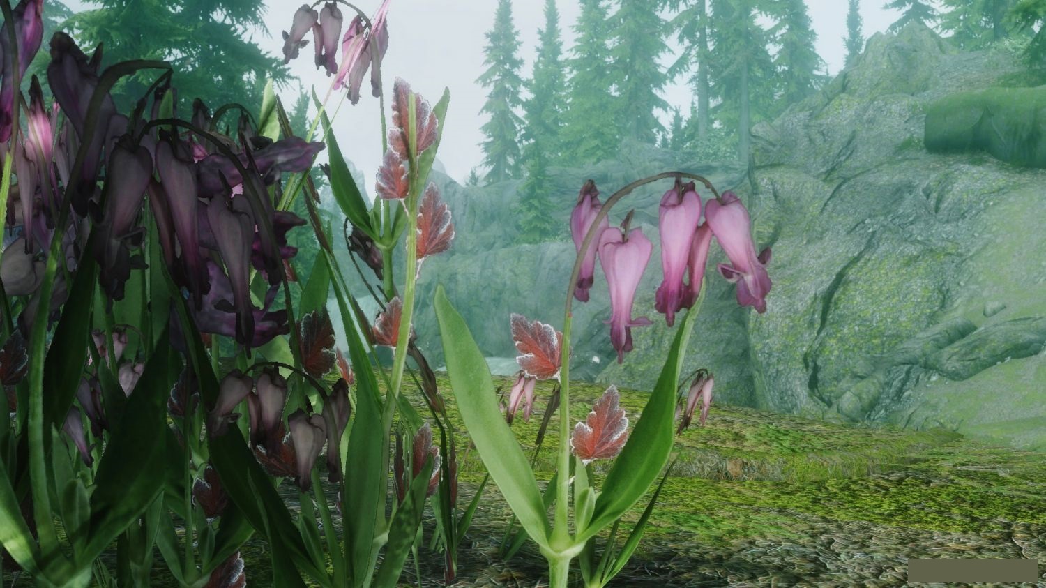 Elder Scrolls 5 Skyrim "HD Mountain flowers red blue purple" Файлы