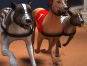 Greyhound Racing: Собачьи бега