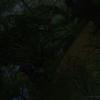 pix.PlayGround.ru