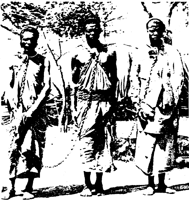 slave life in the south Still slaves in all but name: haunting pictures show how little life changed for many freed slaves in the south after the civil war these haunting images of slaves show how little things changed for many after emancipation. slave life in the south Still slaves in all but name: haunting pictures show how little life changed for many freed slaves in the south after the civil war these haunting images of slaves show how little things changed for many after emancipation.