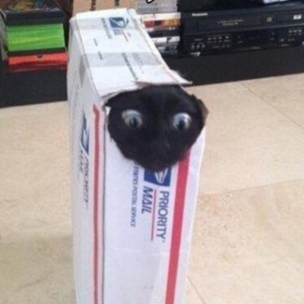 Егор Иконников