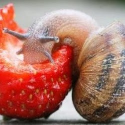 Константин Ильин