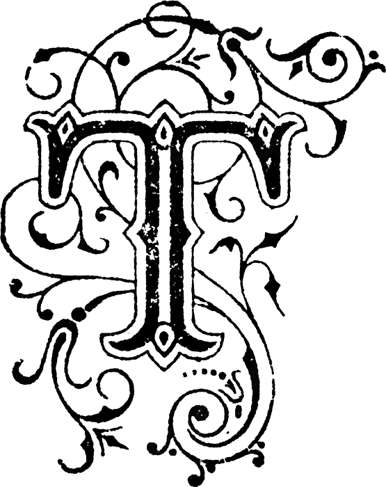 MrTar