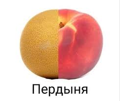 пердыня