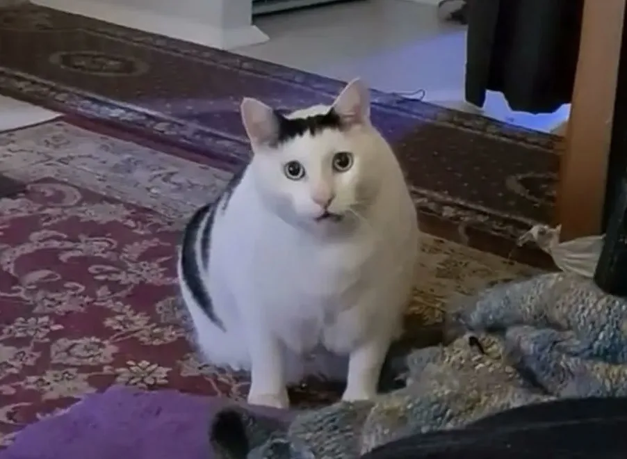 IIIuIIIek