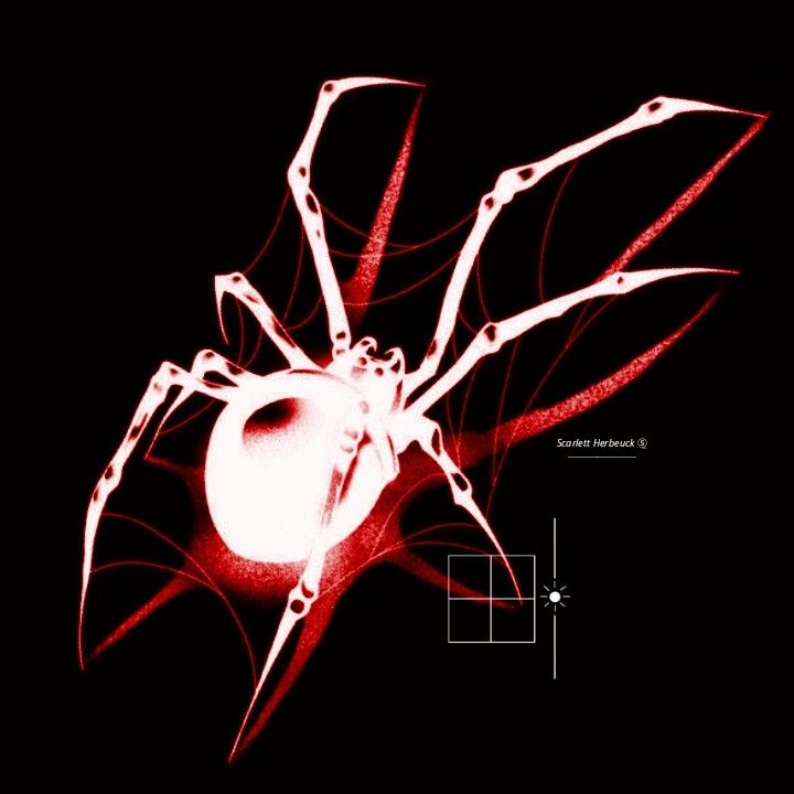 RadikX92