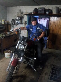   gans