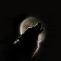 Владислав Федоринин