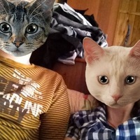 Коля Петров