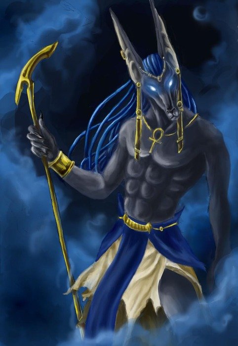 shah662