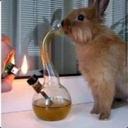 Дмитрий Кадрилеев