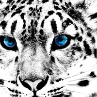 Илья Варламов