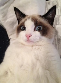 Егор Тяпков