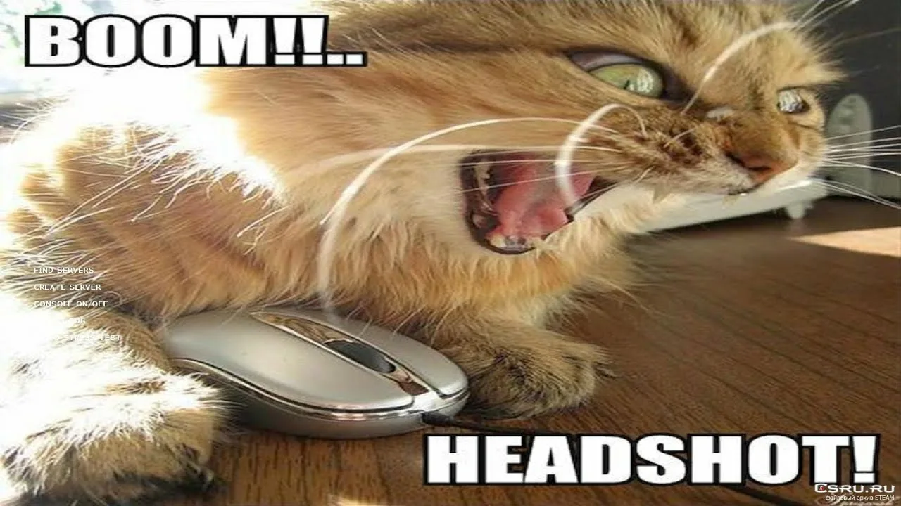 thundermademomentxzp