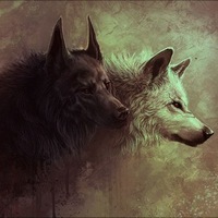 Влад Крутов