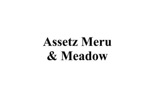Assetz meru and meadow
