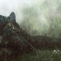 MrNoob [ RUS_
