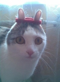 Егор Кудинов