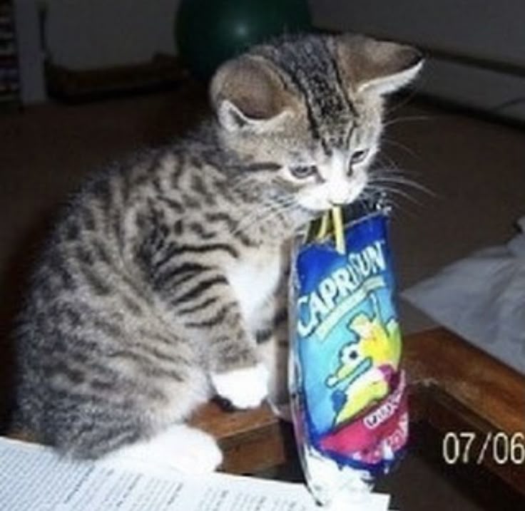 QuintessentialUbertino