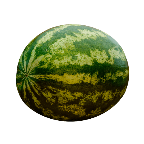 LegitimateRutherford