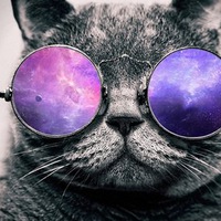 Дмитрий Бокарев