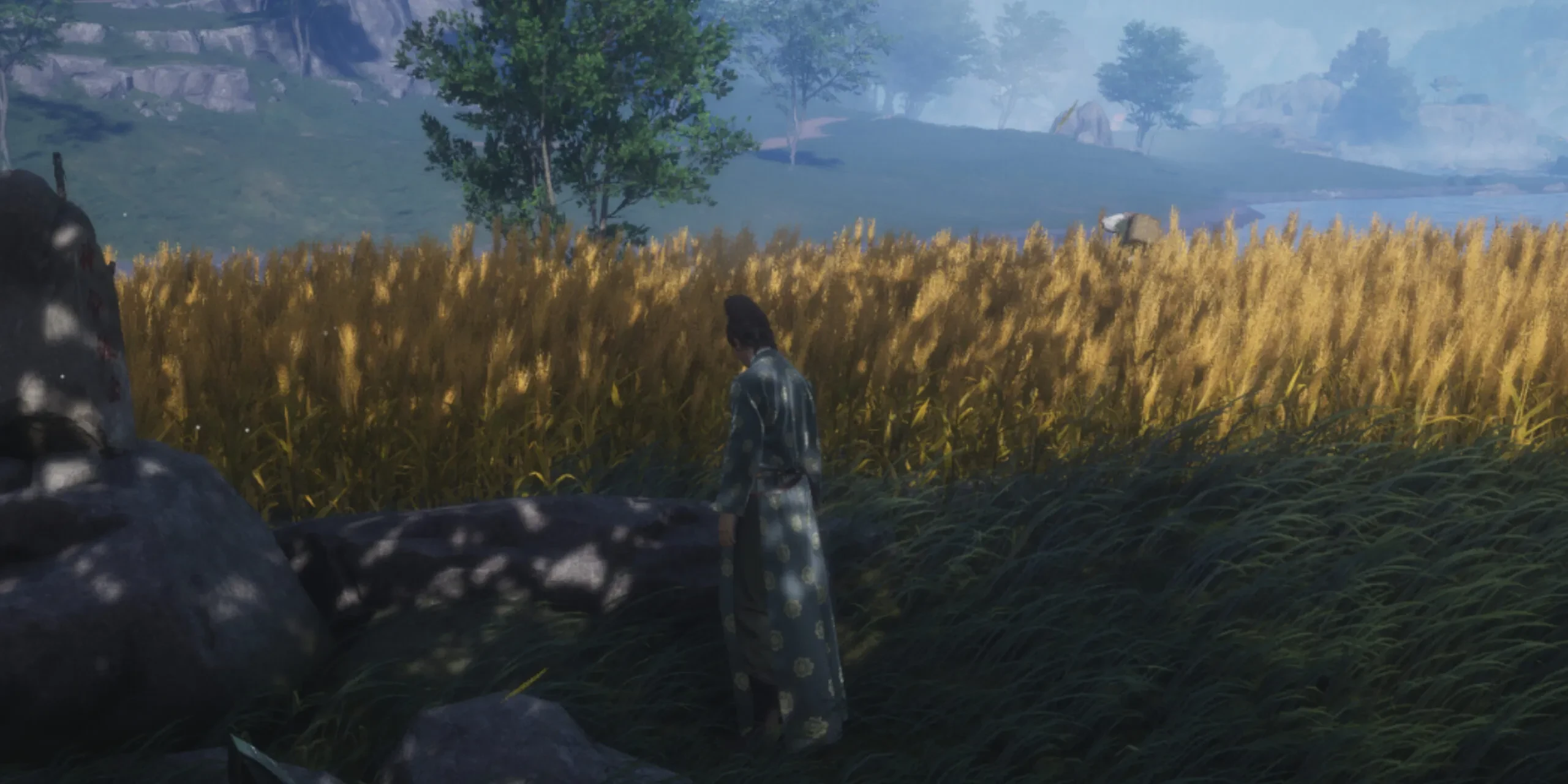 Навык Небесный Захват и поиски вора: прохождение квеста "Пропавшие средства" в Where Winds Meet