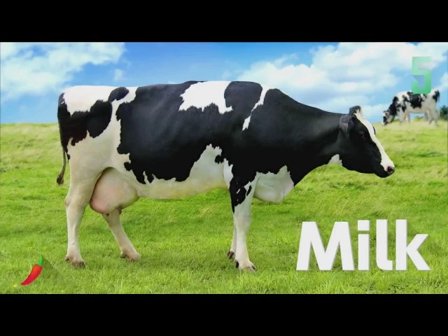 1-2 Switch - Миниигра про коров не понравилась PETA