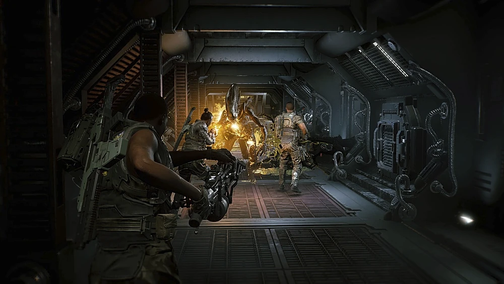 Похоже, Aliens: Fireteam Elite выйдет 24 августа