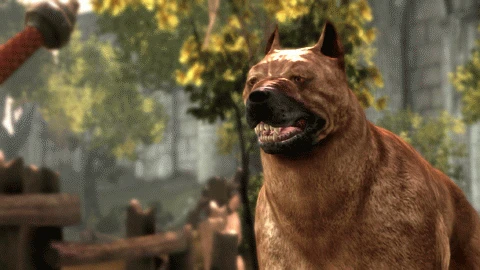 Dragon Age: Origins - Спутники - Пёс