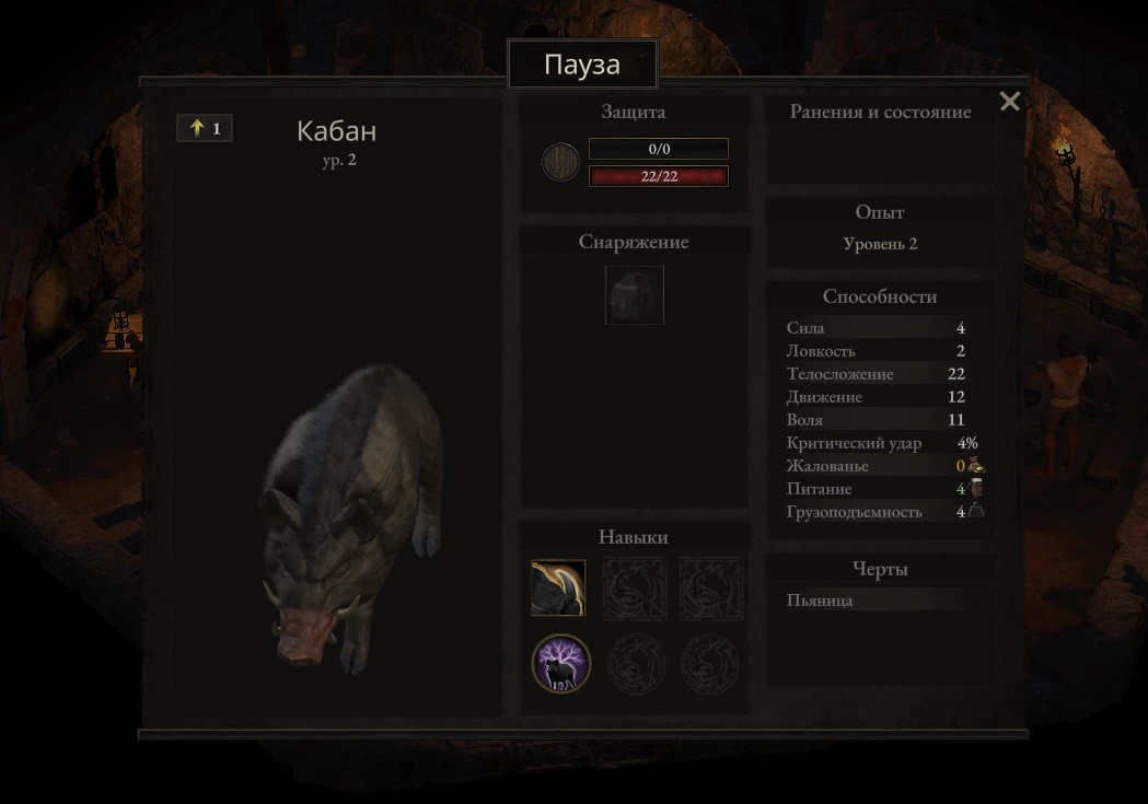 Видимо тюрьму использовали как вытрезвитель для кабана...