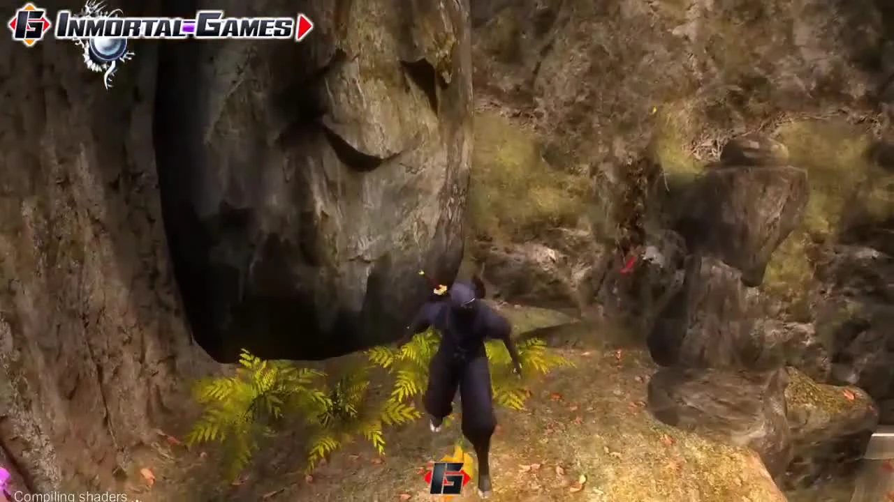 В Ninja Gaiden Sigma - теперь можно с комфортом играть на эмуляторе PS3