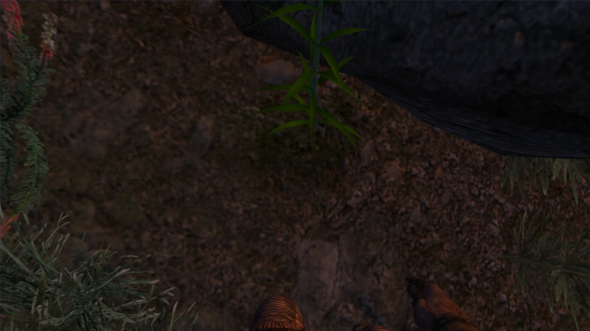 TES 4: Oblivion "Интерактивные анимации"