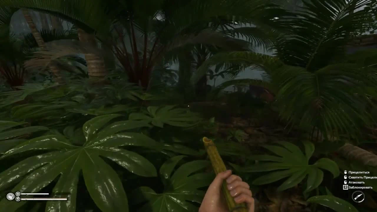 Встреча с ягуаром в Green Hell