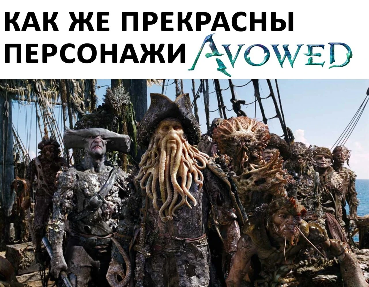 Вот они слева направо