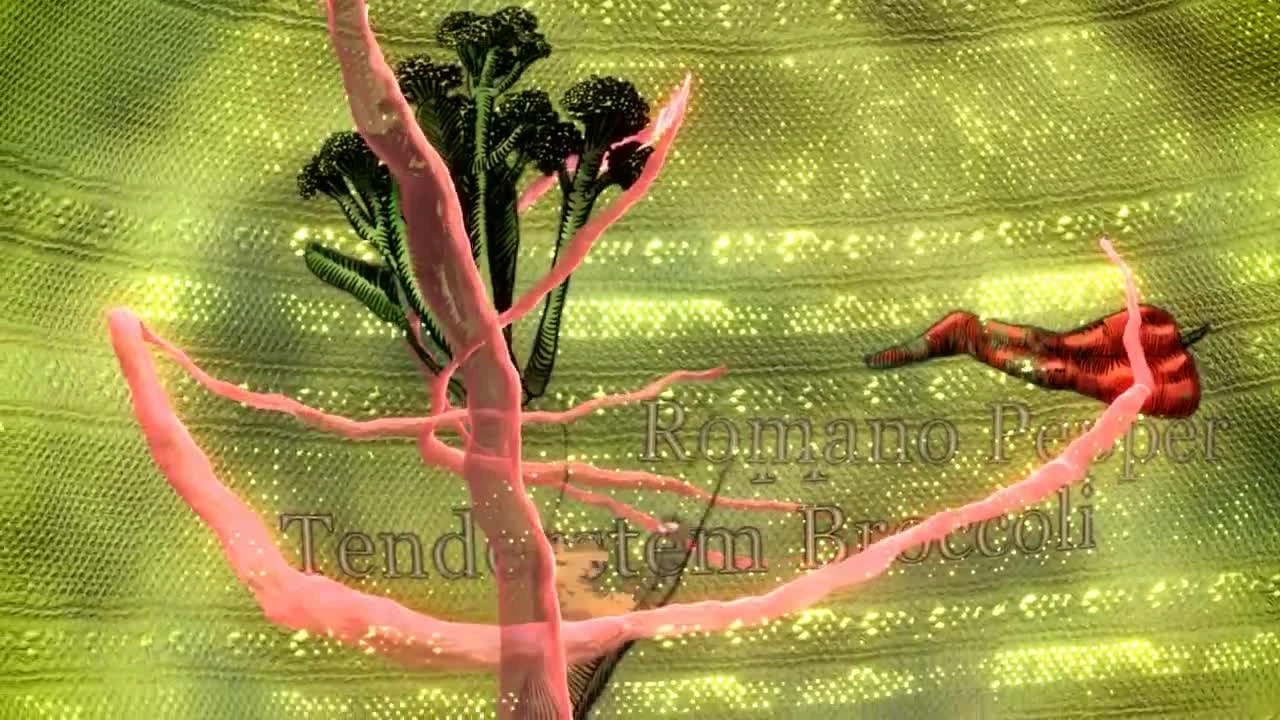 Dinner Date "Трейлер анонса"