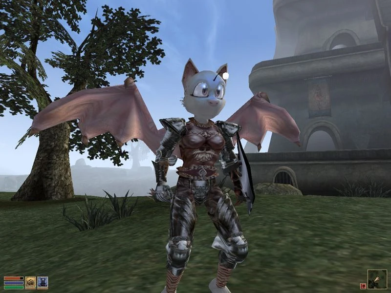 Morrowind "Раса - Mog"