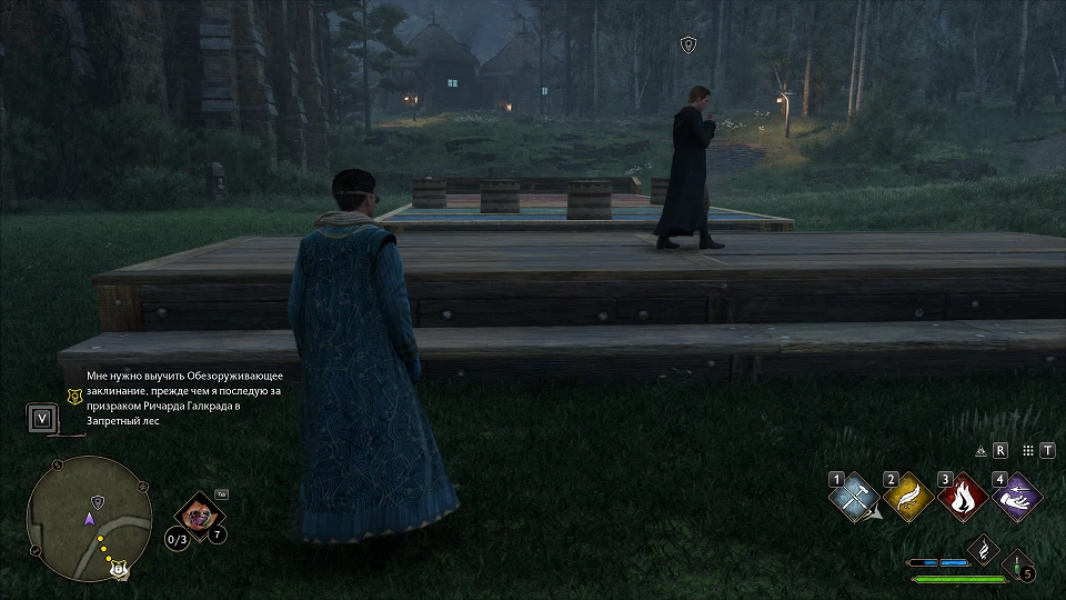 Hogwarts Legacy "Cохранение - Поле призывателя, все игры"