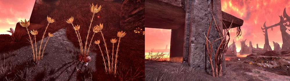 The Elder Scrolls 4: Oblivion Remastered "Исправление ловушек" [v1.2а]