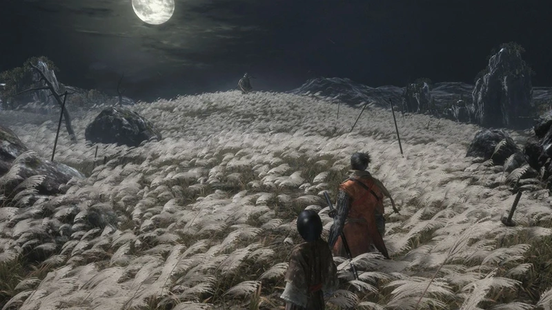 Механика воскрешения в Sekiro: Shadows Die Twice будет полагаться на сбор ресурсов