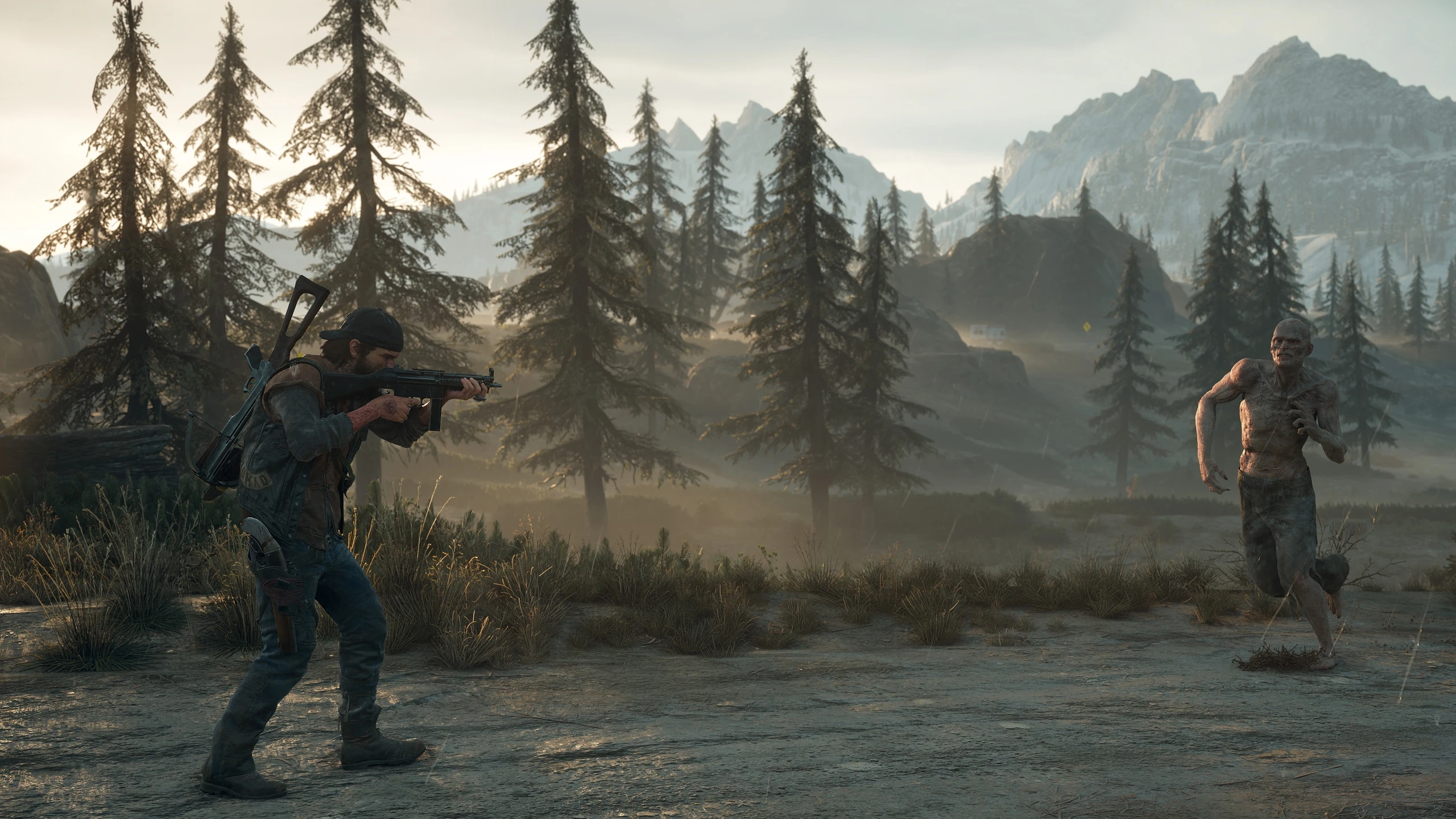 Разработчики Days Gone ответили на важные вопросы перед выходом игры на ПК
