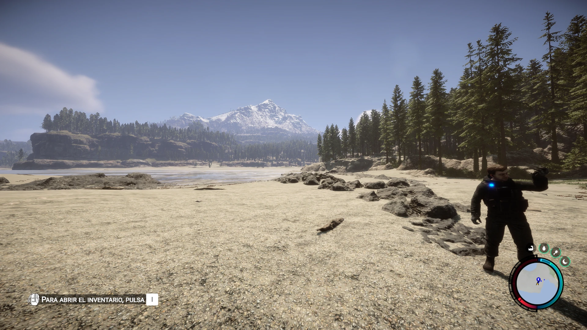 Sons of the Forest "Яркая и четкая графика"