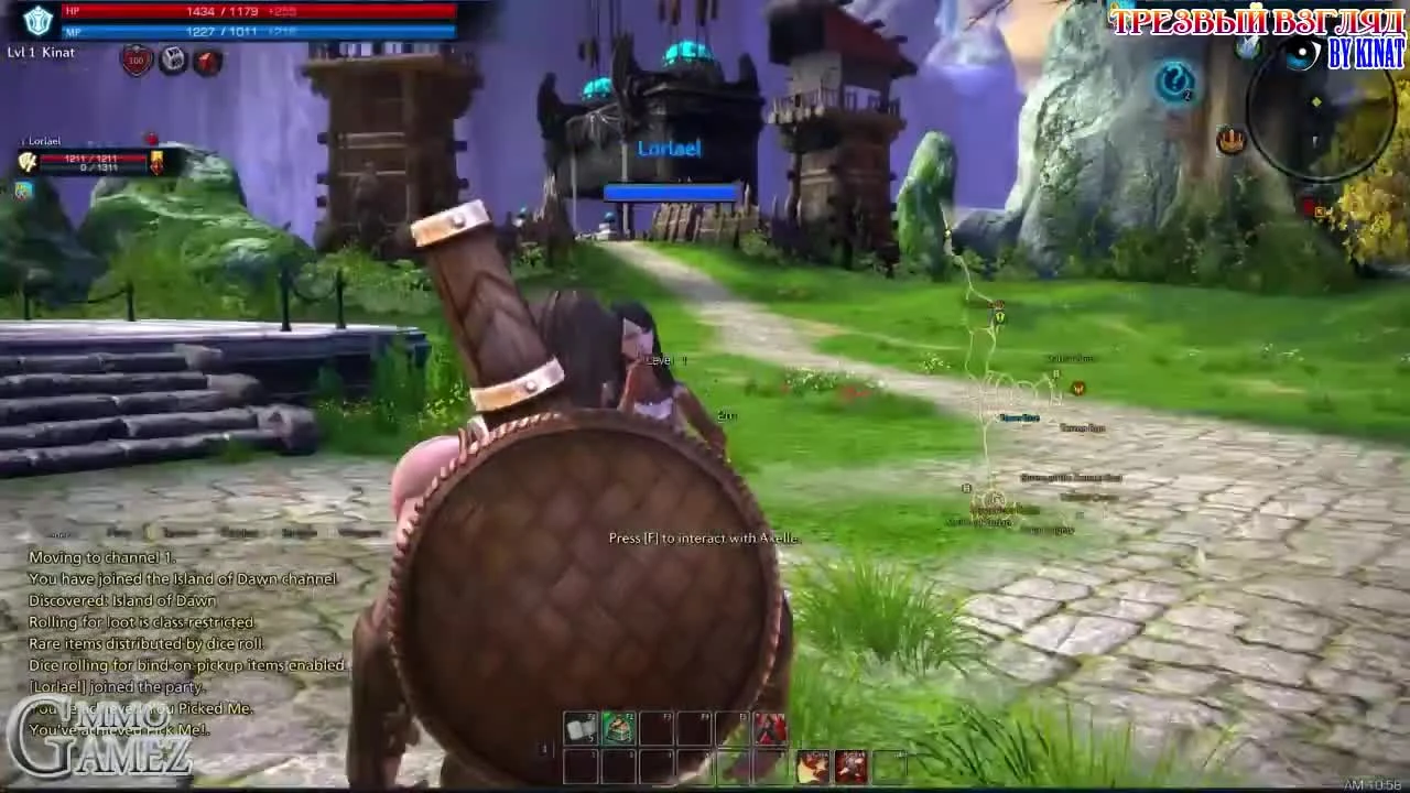 Tera Online "Трезвый взгляд на игру"