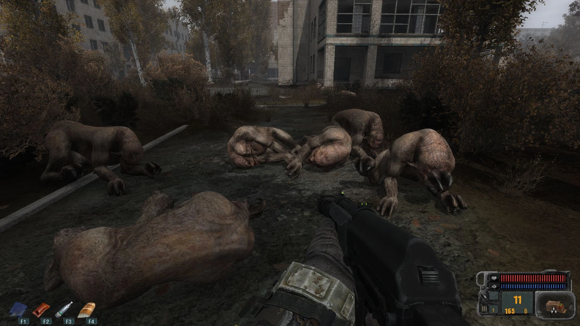 S.T.A.L.K.E.R.: Call of Pripyat "Уборщик трупов мутантов"