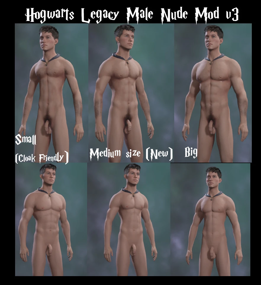 Hogwarts Legacy "Обнаженный персонаж мужского пола"