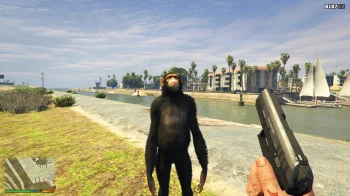 Grand Theft Auto 5 "CompanionV 1.1"