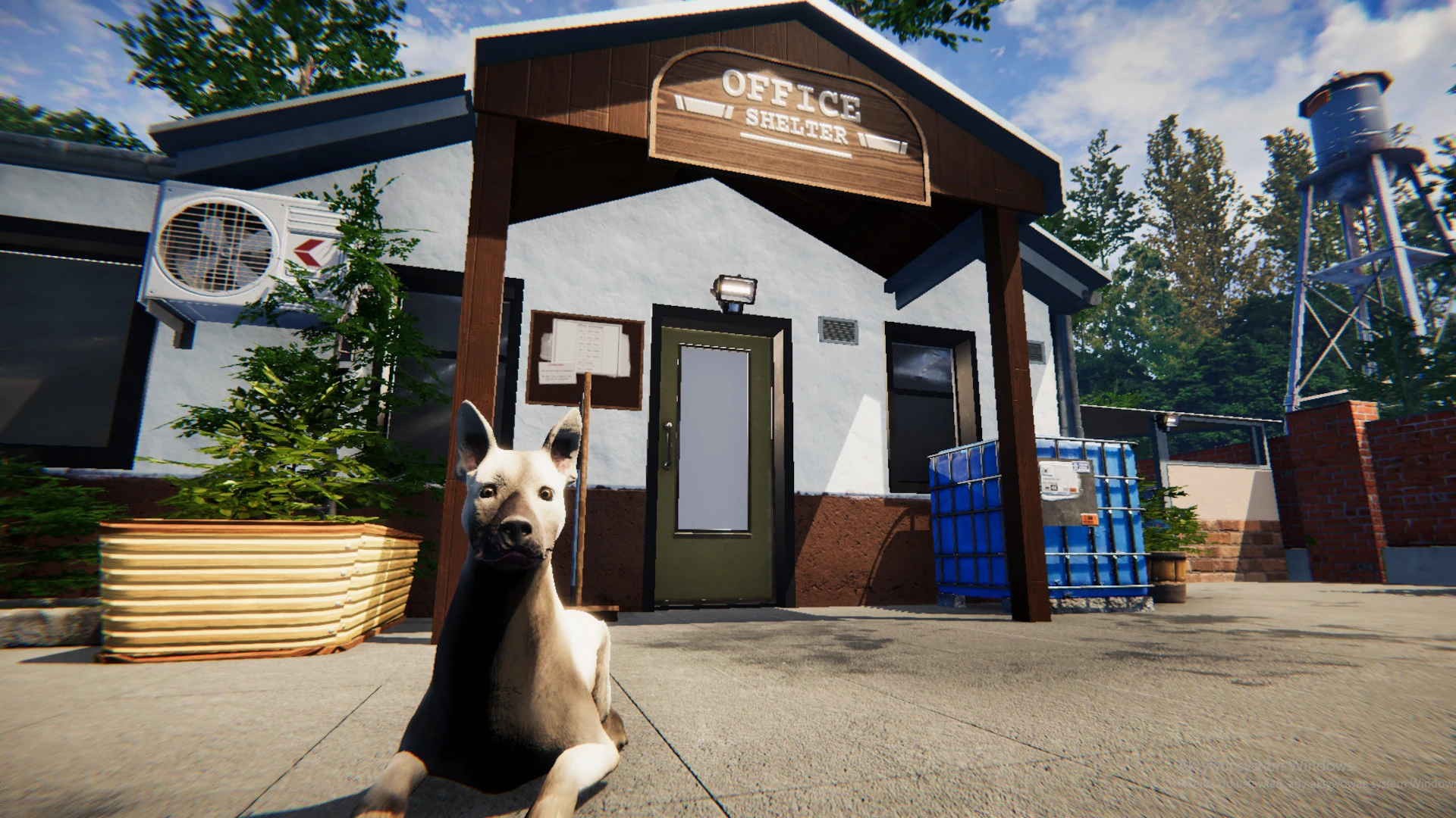 Для Animal Shelter вышло обновление 1.0.10