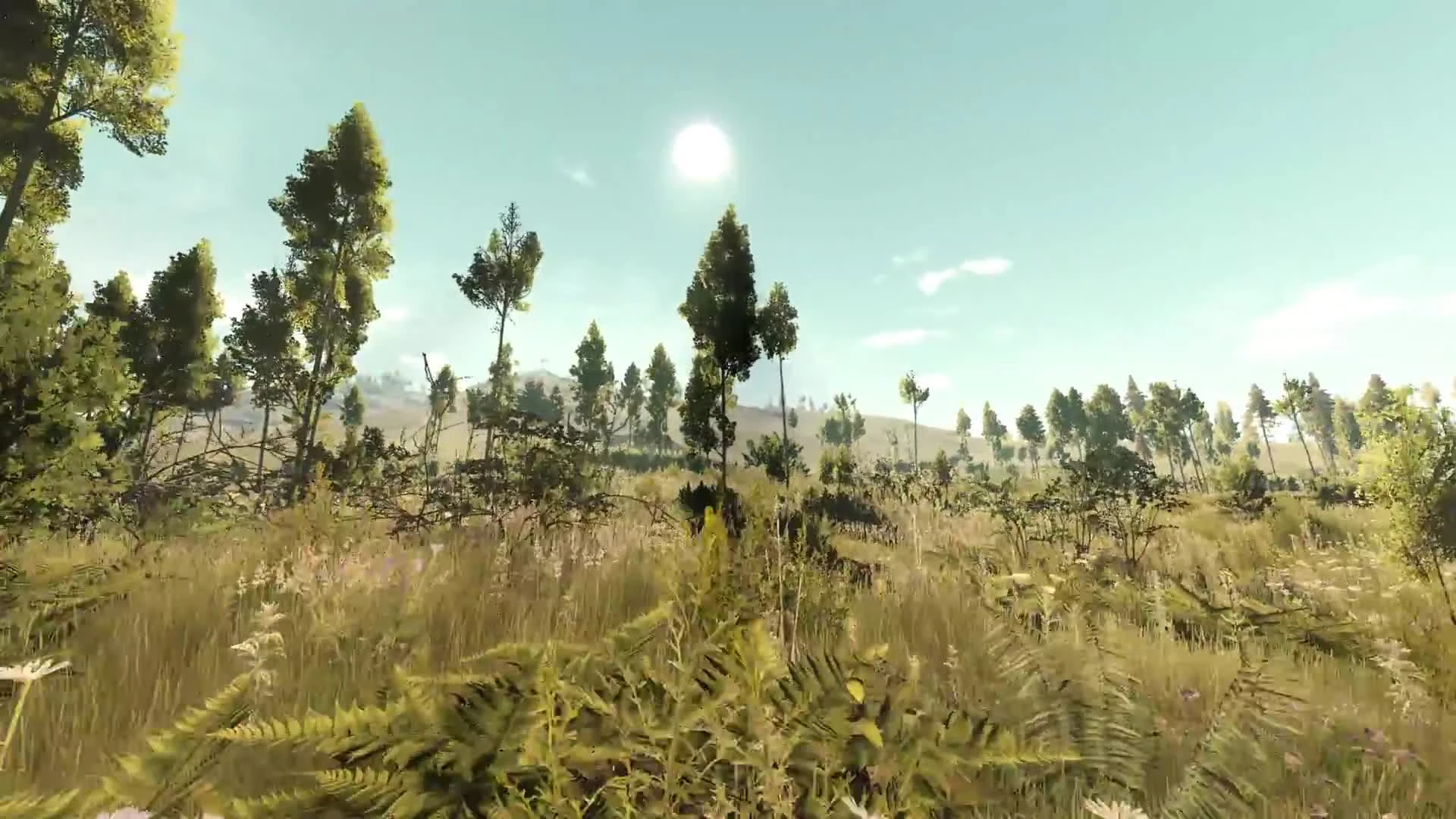 Первые пять часов Life is Feudal: MMO за девять минут