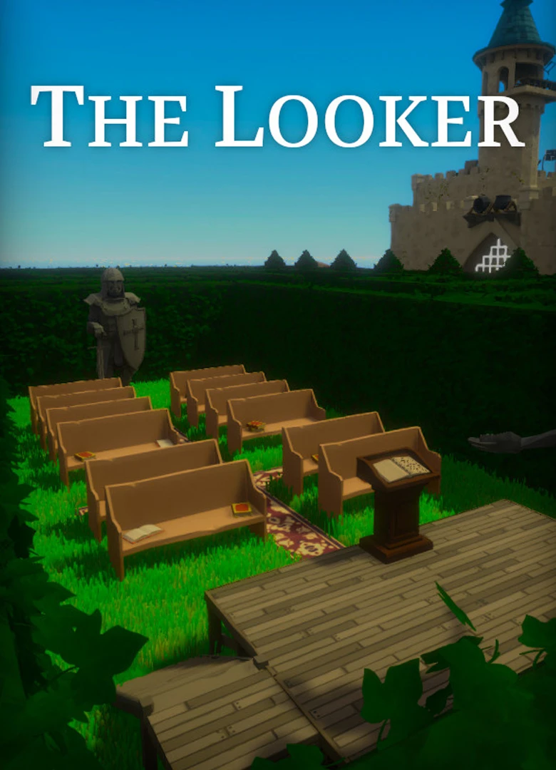 The Looker